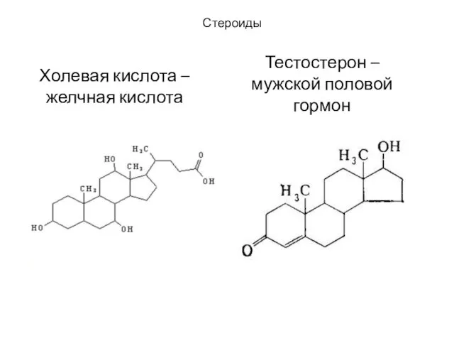 Холевая кислота – желчная кислота Стероиды Тестостерон – мужской половой гормон