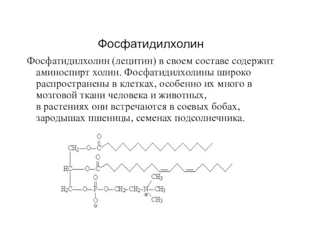 Фосфатидилхолин (лецитин) в своем составе содержит аминоспирт холин. Фосфатидилхолины широко распространены
