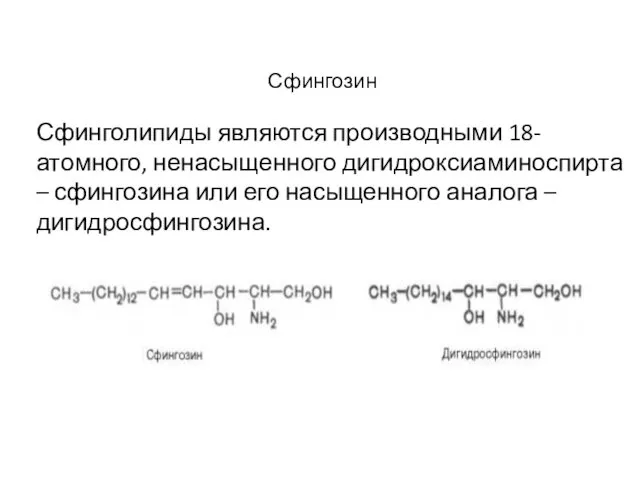 Сфинголипиды являются производными 18-атомного, ненасыщенного дигидроксиаминоспирта – сфингозина или его насыщенного аналога – дигидросфингозина. Сфингозин