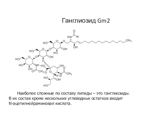 Ганглиозид Gm2 Наиболее сложные по составу липиды – это ганглиозиды. В