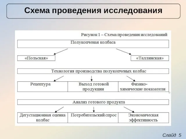 Слайд 5 Схема проведения исследования