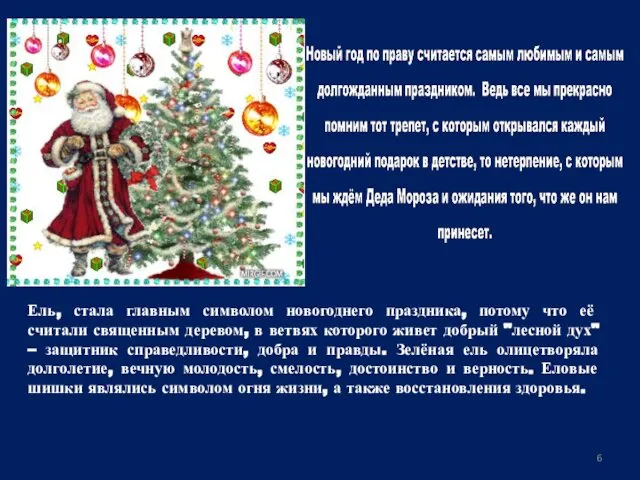 Ель, стала главным символом новогоднего праздника, потому что её считали священным