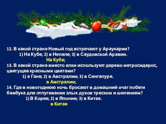 12. В какой стране Новый год встречают у Араукарии? 1) На