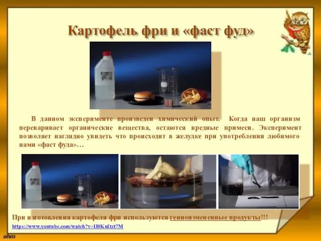 Картофель фри и «фаст фуд» При изготовления картофеля фри используются генноизмененные