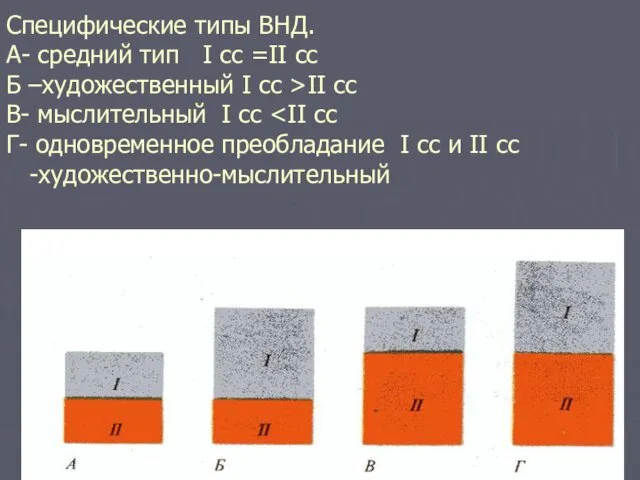 Специфические типы ВНД. А- средний тип I сс =II сс Б