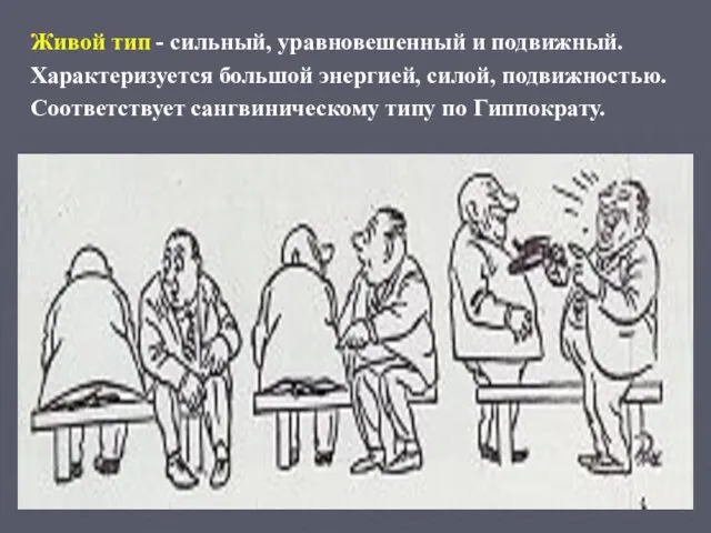 Живой тип - сильный, уравновешенный и подвижный. Характеризуется большой энергией, силой,