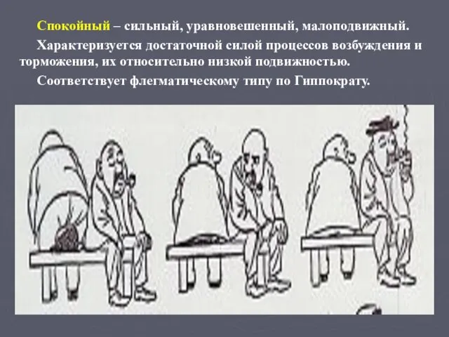 Спокойный – сильный, уравновешенный, малоподвижный. Характеризуется достаточной силой процессов возбуждения и