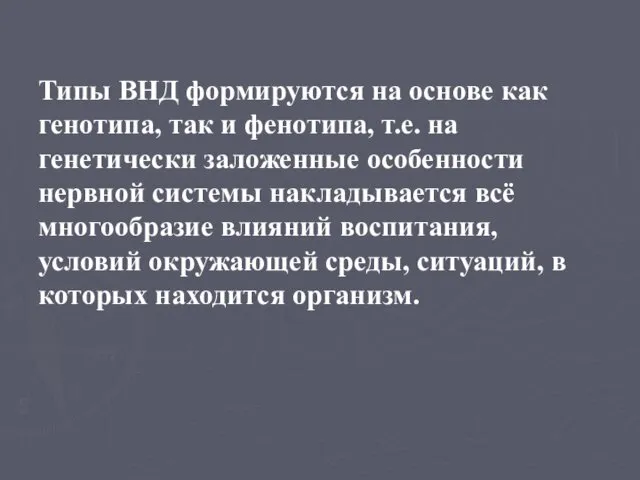 Типы ВНД формируются на основе как генотипа, так и фенотипа, т.е.