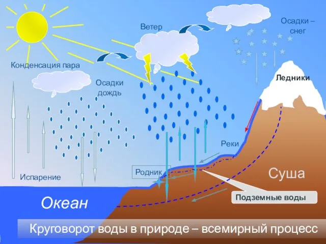 Испарение Конденсация пара Осадкидождь Осадки – снег Ветер Круговорот воды в