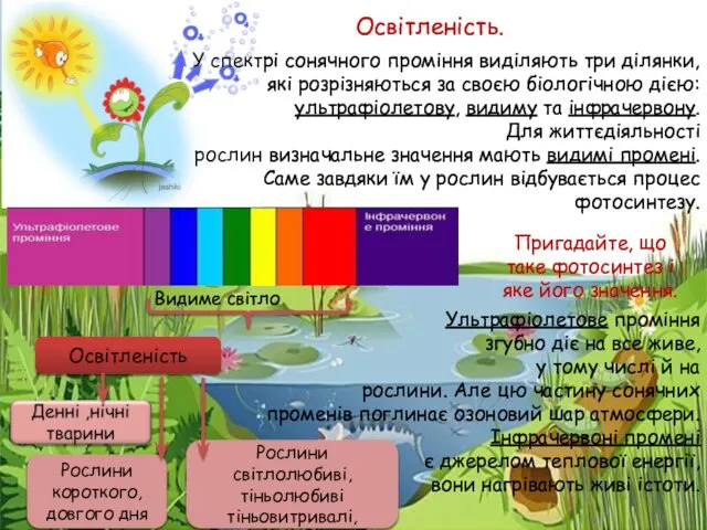 У спектрі сонячного проміння виділяють три ділянки, які розрізняються за своєю