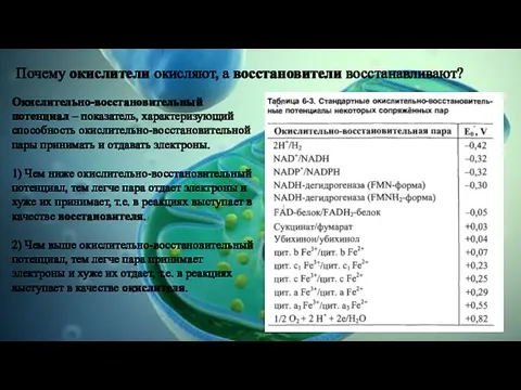 Почему окислители окисляют, а восстановители восстанавливают? Окислительно-восстановительный потенциал – показатель, характеризующий