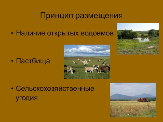 Принцип размещения Наличие открытых водоемов Пастбища Сельскохозяйственные угодия