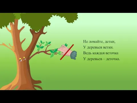 Не ломайте, детки, У деревьев ветки. Ведь каждая веточка У деревьев – деточка.