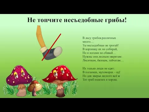 Не топчите несъедобные грибы! В лесу грибов различных много… Ты несъедобные
