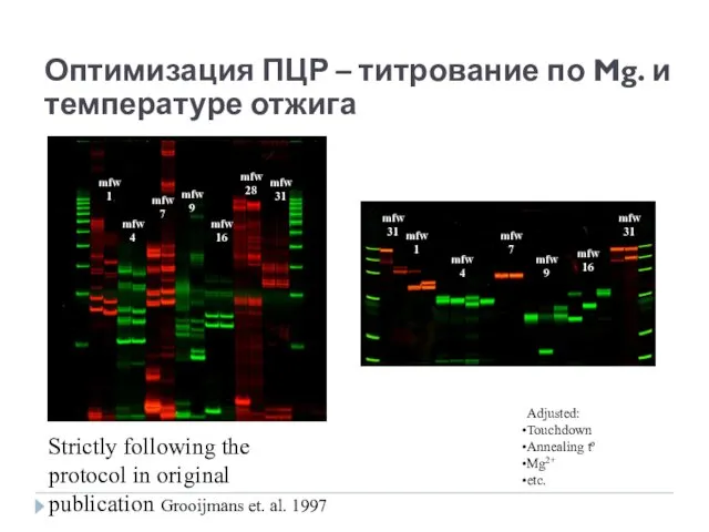 Strictly following the protocol in original publication Grooijmans et. al. 1997