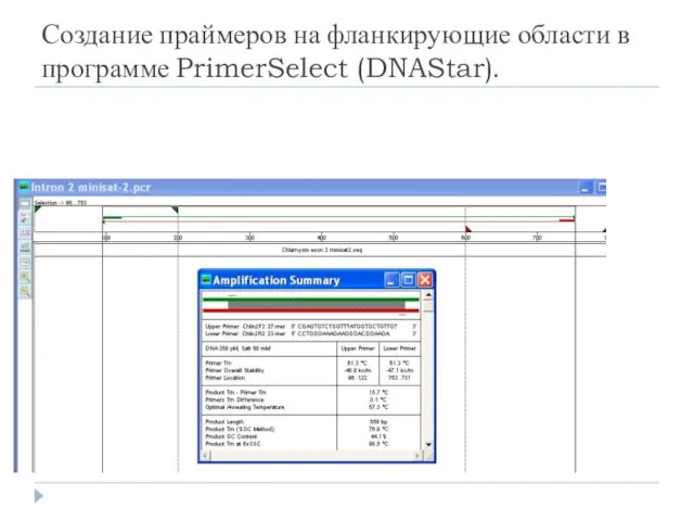 Создание праймеров на фланкирующие области в программе PrimerSelect (DNAStar).