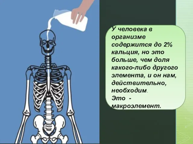 У человека в организме содержится до 2% кальция, но это больше,