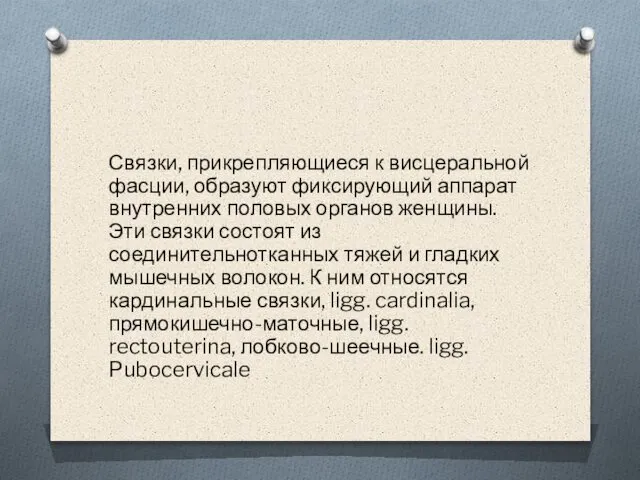 Связки, прикрепляющиеся к висцеральной фасции, образуют фиксирующий аппарат внутренних половых органов