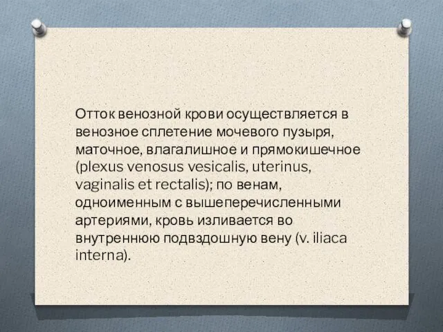 Отток венозной крови осуществляется в венозное сплетение мочевого пузыря, маточное, влагалишное