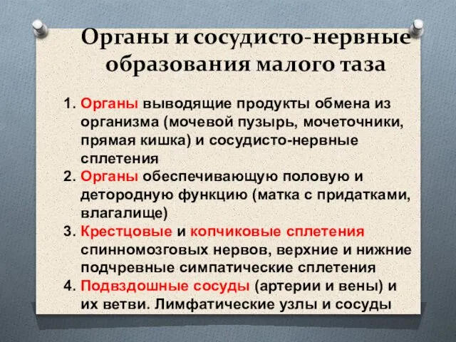 Органы и сосудисто-нервные образования малого таза 1. Органы выводящие продукты обмена