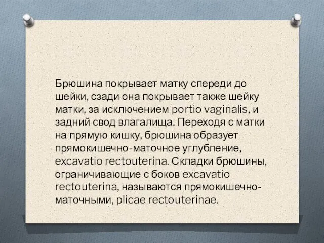 Брюшина покрывает матку спереди до шейки, сзади она покрывает также шейку