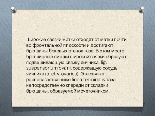 Широкие связки матки отходят от матки почти во фронтальной плоскости и