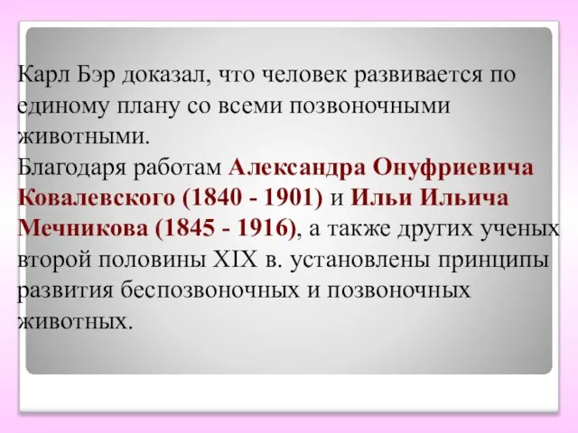 Карл Бэр доказал, что человек развивается по единому плану со всеми