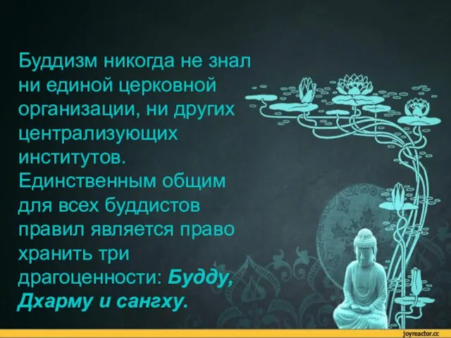 Буддизм никогда не знал ни единой церковной организации, ни других централизующих