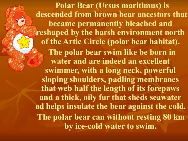 Polar Bear (Ursus maritimus) is descended from brown bear ancestors that