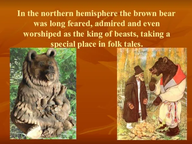 In the northern hemisphere the brown bear was long feared, admired