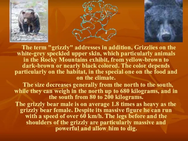 The term "grizzly" addresses in addition, Grizzlies on the white-grey speckled