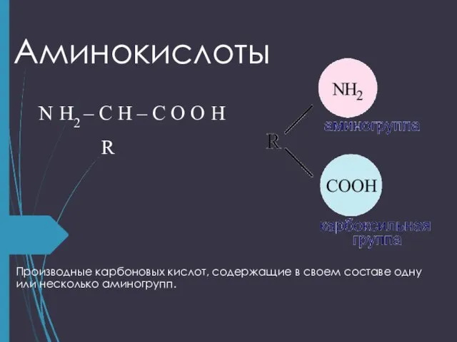 Аминокислоты Производные карбоновых кислот, содержащие в своем составе одну или несколько