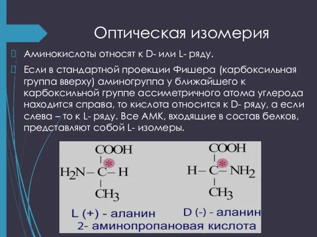 Оптическая изомерия Аминокислоты относят к D- или L- ряду. Если в