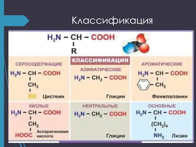 Классификация