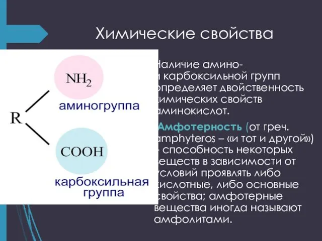 Химические свойства Наличие амино- и карбоксильной групп определяет двойственность химических свойств