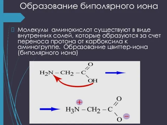 Образование биполярного иона Молекулы аминокислот существуют в виде внутренних солей, которые