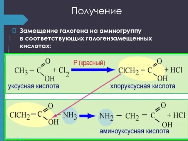 Получение Замещение галогена на аминогруппу в соответствующих галогензамещенных кислотах: