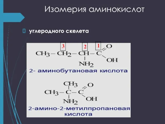 Изомерия аминокислот углеродного скелета 1 2 3