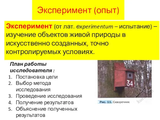 Эксперимент (опыт) Эксперимент (от лат. еxperimentum – испытание) – изучение объектов