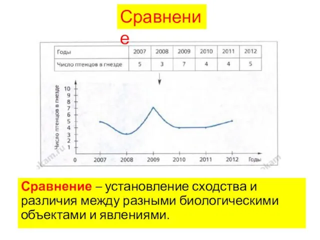 Сравнение – установление сходства и различия между разными биологическими объектами и явлениями. Сравнение