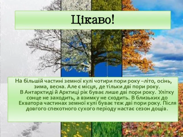 Цікаво! На більшій частині земної кулі чотири пори року –літо, осінь,