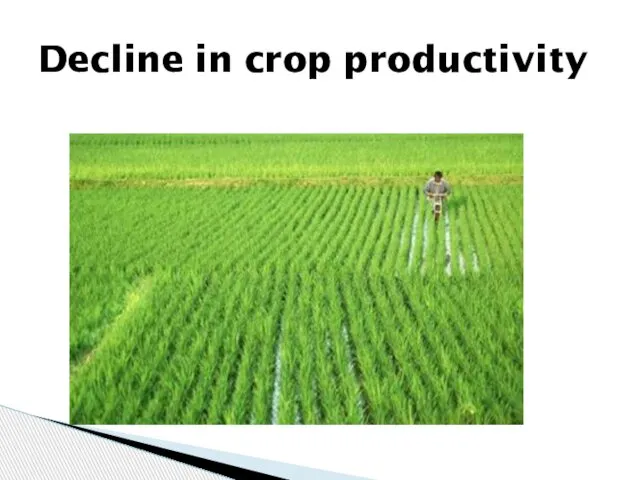 Decline in crop productivity