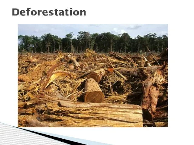 Deforestation