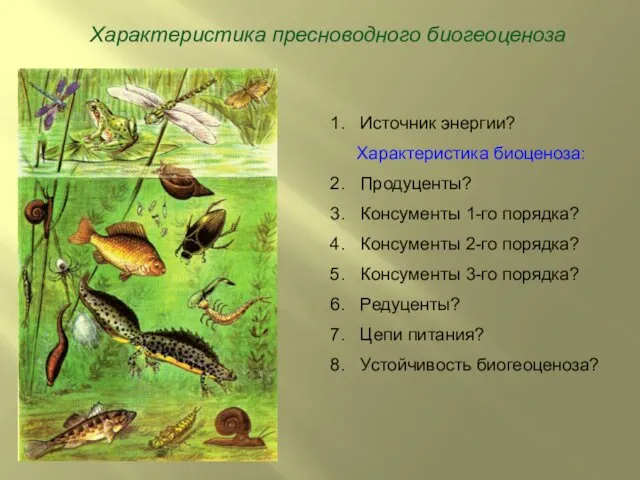 Характеристика пресноводного биогеоценоза Источник энергии? Характеристика биоценоза: Продуценты? Консументы 1-го порядка?