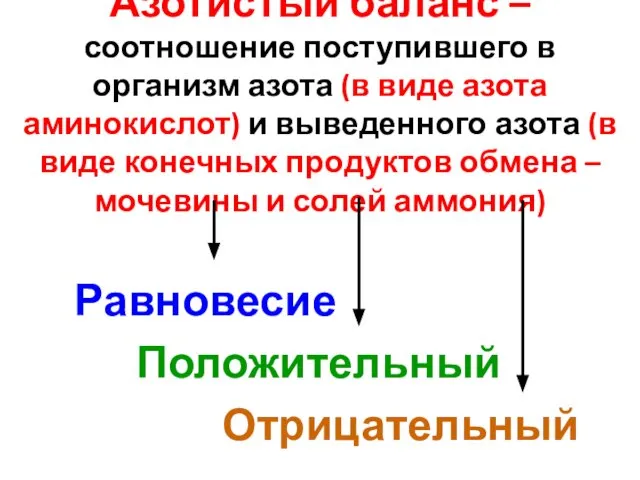 Азотистый баланс – соотношение поступившего в организм азота (в виде азота