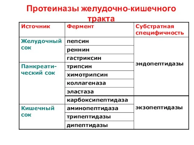 Протеиназы желудочно-кишечного тракта