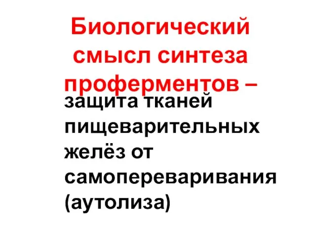 Биологический смысл синтеза проферментов – защита тканей пищеварительных желёз от самопереваривания (аутолиза)