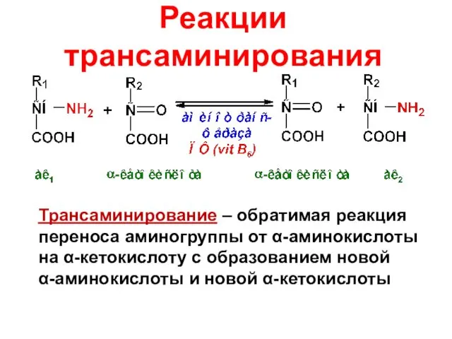 Реакции трансаминирования Трансаминирование – обратимая реакция переноса аминогруппы от α-аминокислоты на