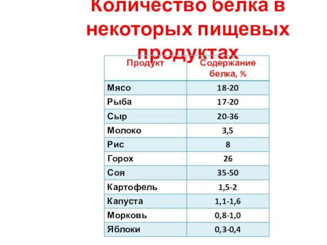 Количество белка в некоторых пищевых продуктах