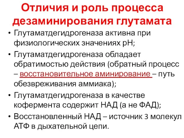 Отличия и роль процесса дезаминирования глутамата Глутаматдегидрогеназа активна при физиологических значениях